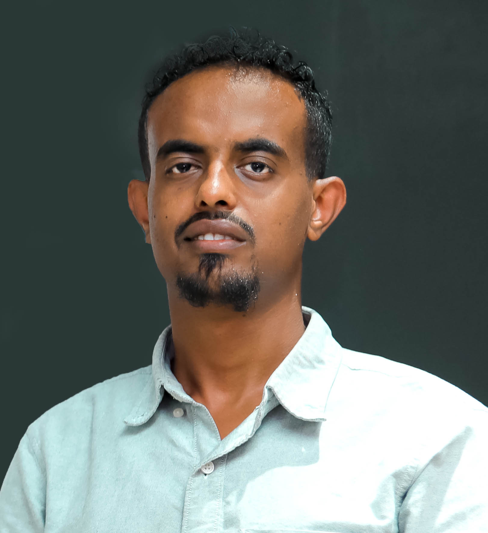 System Development Lead